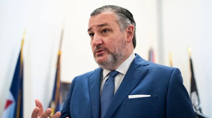 US Senator Ted Cruz Accuses Nigerian Government of Hiring Washington Lobbyists to Mask Insecurity, Christian Persecution